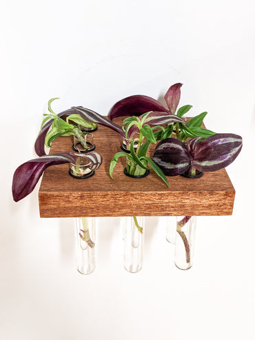 Square Propagation Station Shelf for Plant Cuttings