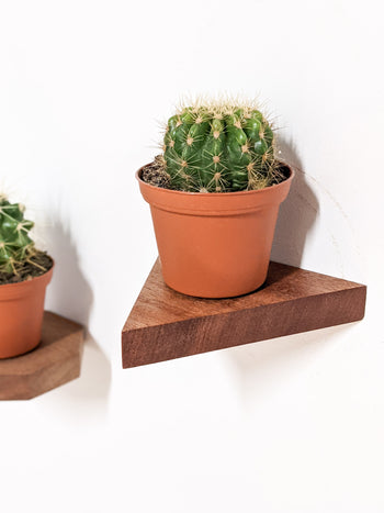 Small Triangle Floating Shelves in Mahogany