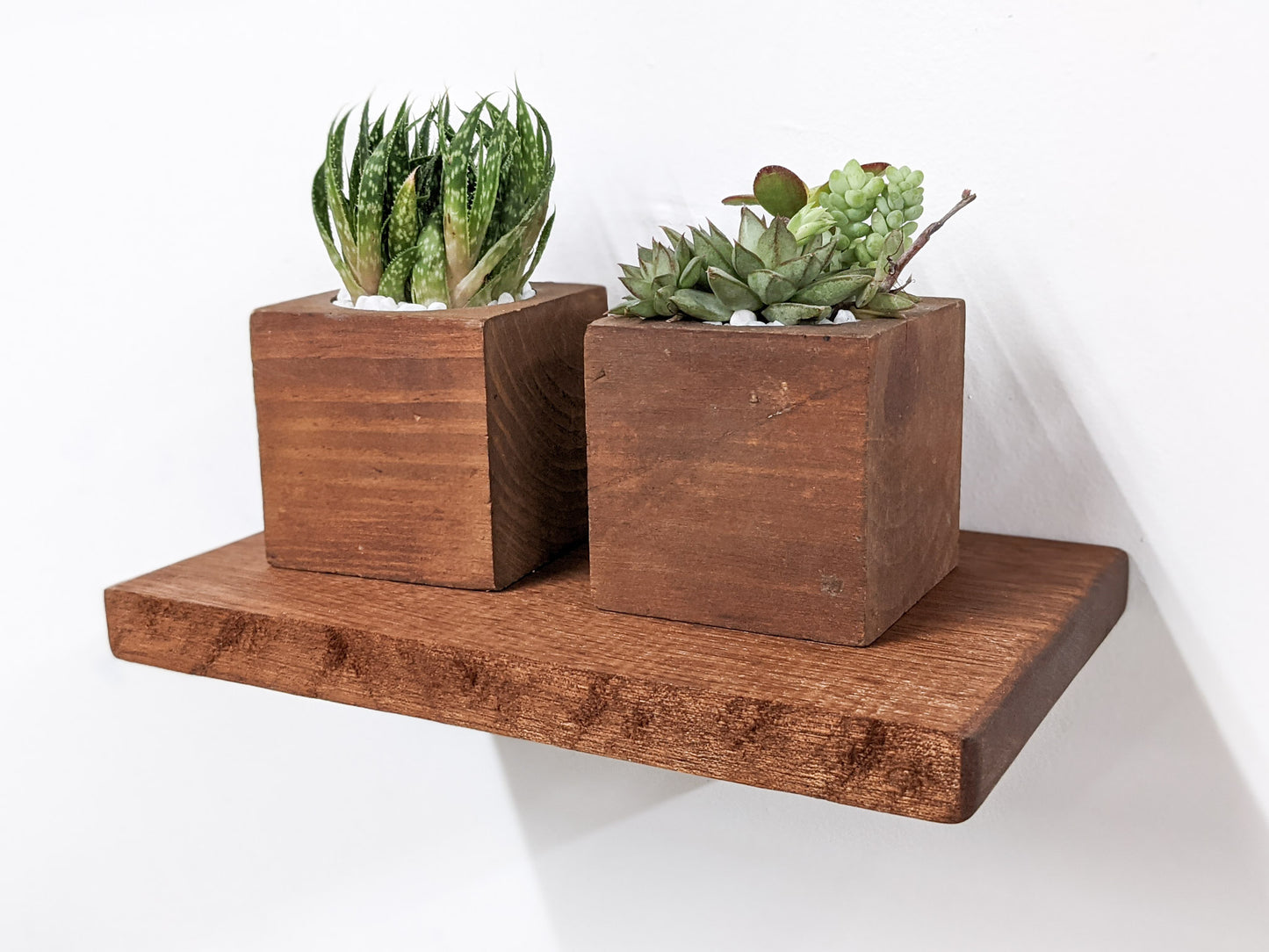 A front view of a wall-mounted live edge shelf in mahogany. Two square mahogany wood planters sit on top the shelf and hold succulents.