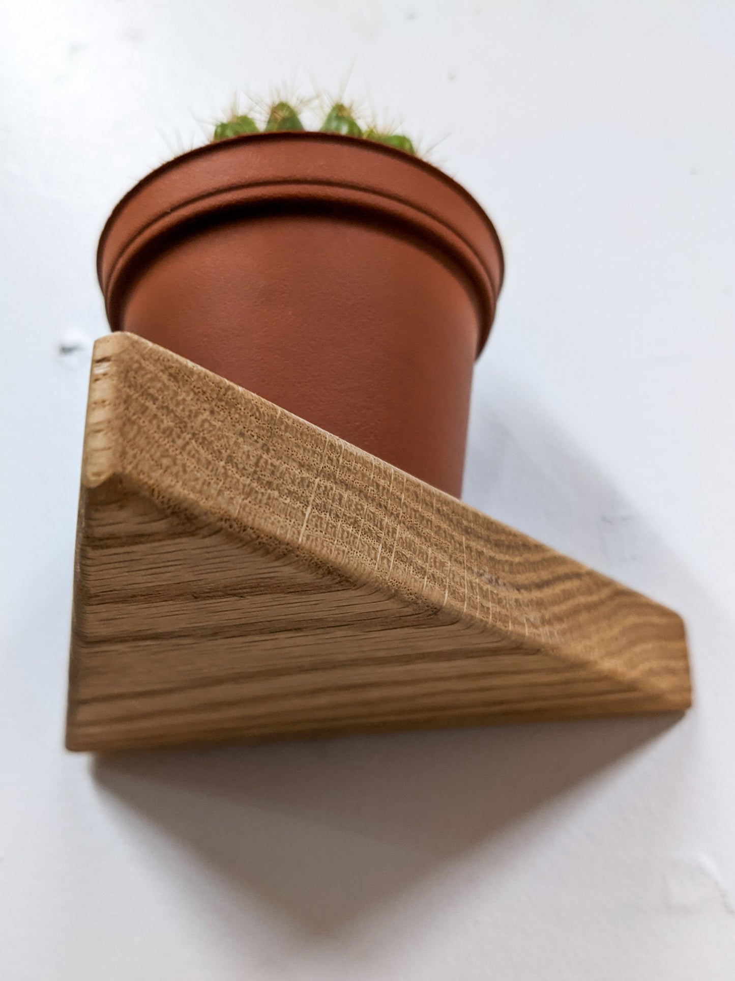 A bottom view of the triangle floating oak shelf, a terracotta colored planter sits on top.