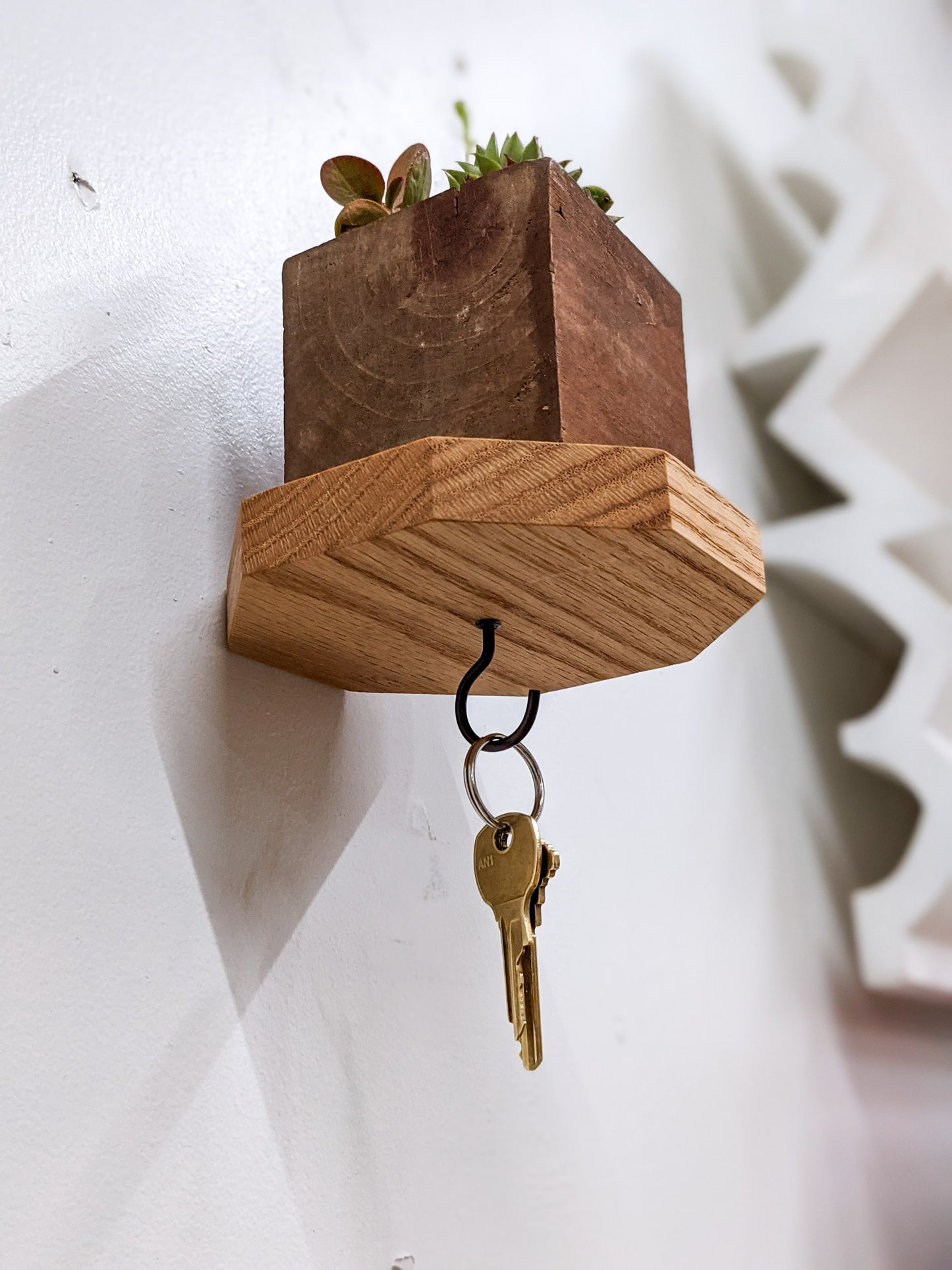 The bottom view of a wall mounted oak octagon key hook shelf. A black hook extends out from the bottom of the shelf and curves upward, perfectly creating a notch for keys of all sizes to be hung. Two bronze keys dangle from the hook. We see the sides of a square planter that is filled with succulents.