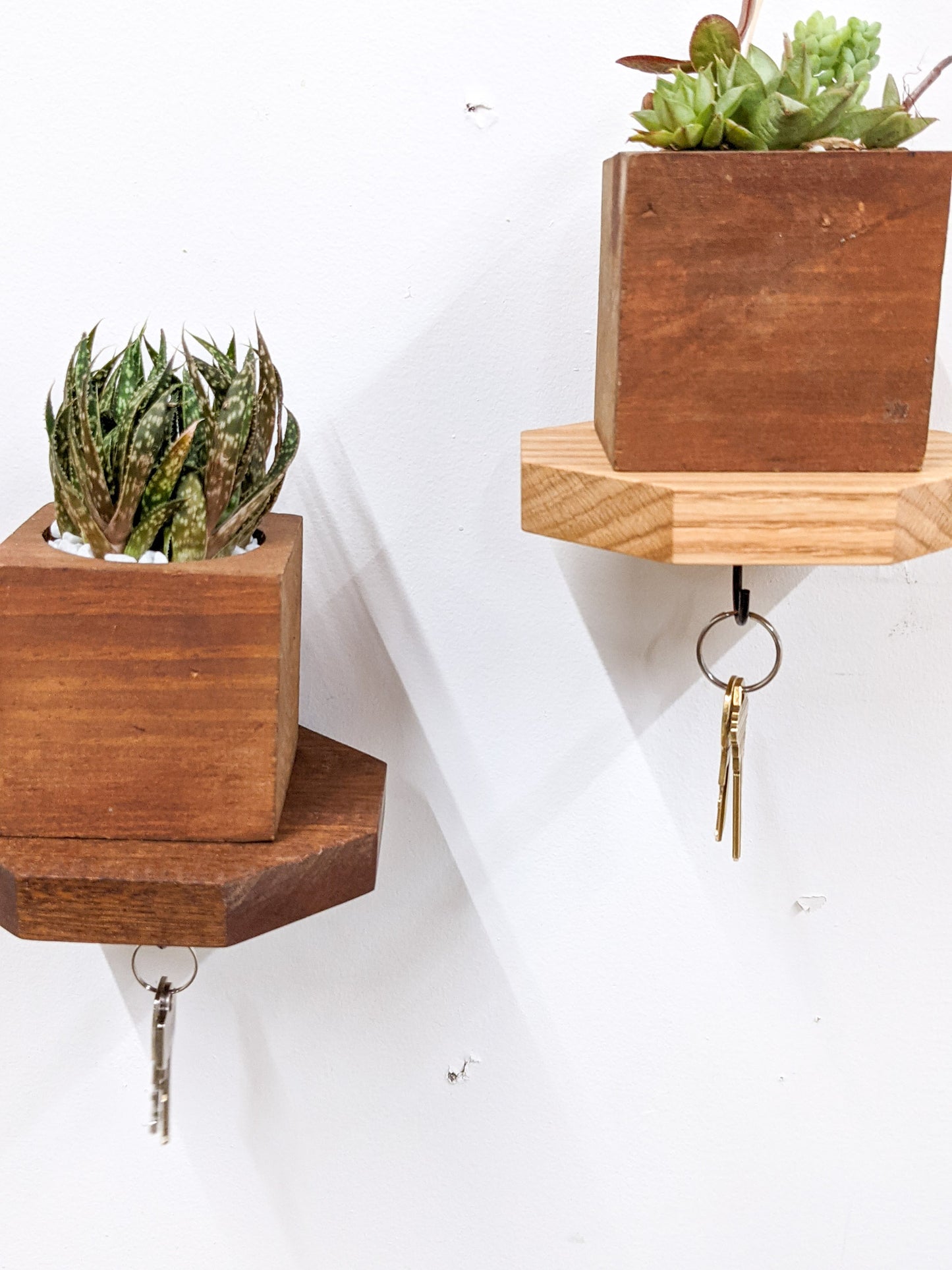 A set of oak and mahogany octagon key shelves are securely installed on a white wall. To the left, a mahogany octagon key shelf holds a square mahogany planter filled with succulents. A set of bronze keys dangle from a black key hook at the bottom. Above and to the right of it, a wall mounted oak octagon key shelf holds a mahogany square planter with succulents and a pair of keys.