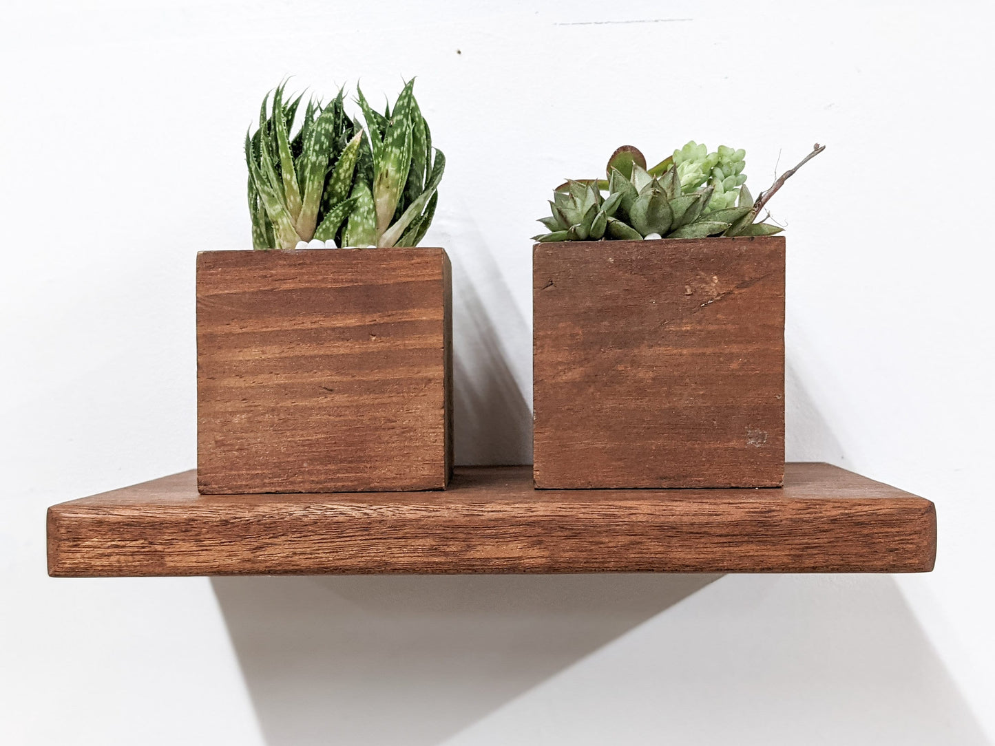 A small oak floating shelf displays two small green succulents, both sitting within wooden square planters.