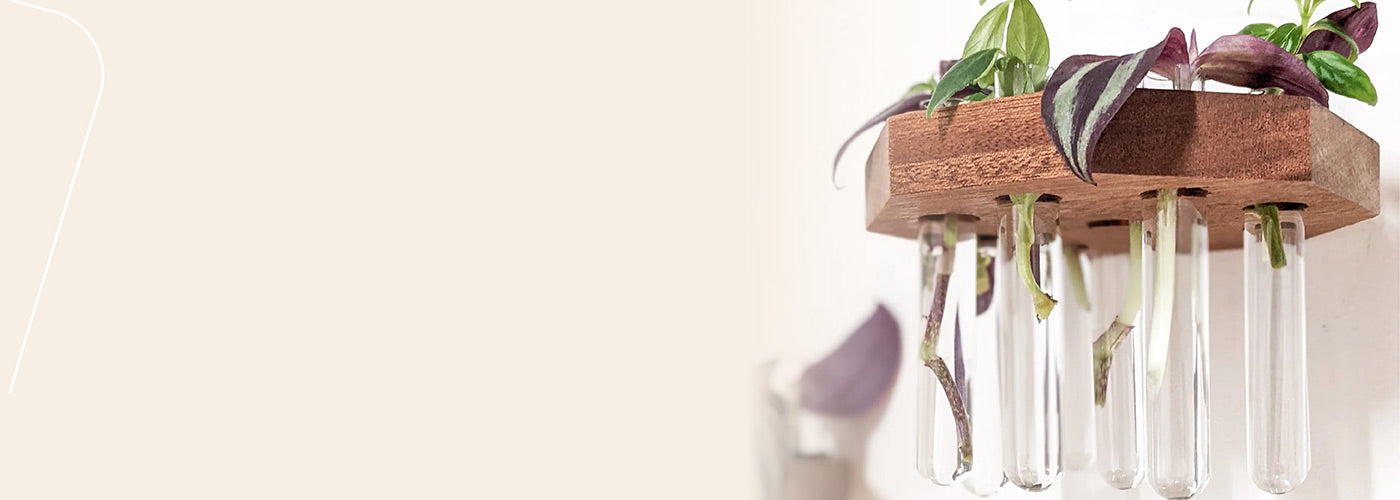 Decorate with Propagation Shelf Sets for Plant Cuttings - NookWoodworking