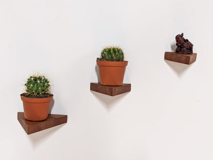 Three triangle floating shelves in mahogany are wall mounted and ascending the wall. The first two wall mounted mahogany floating triangle shelves hold cacti and the third holds a small purplish-red porcelain elephant.