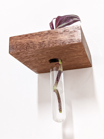 A close-up of the solo test tube propagation shelf from below. The glass test tube hangs securely from the wall-mounted shelf. A faint purple root is visible in the test tube.