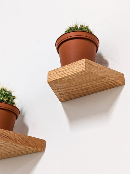 A trapezoid oak floating shelf is wall mounted and viewed from below it holds a small terracotta planter with a cactus. To the left, a second oak trapezoid floating shelf is just in frame and holds another cactus and planter.