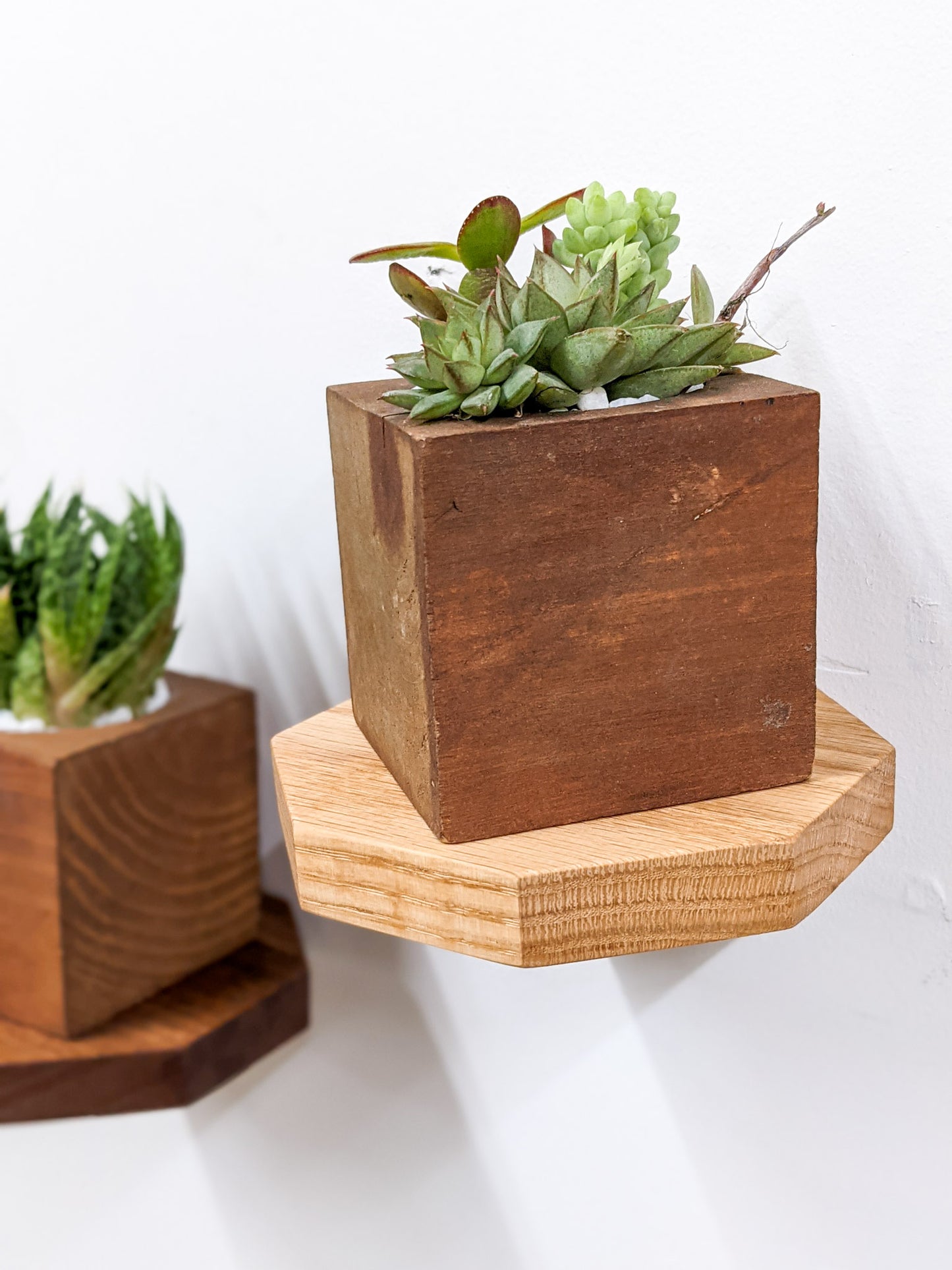 A small octagon floating shelf with oak wood floats on the wall. A square planter sits atop it filled with succulents.