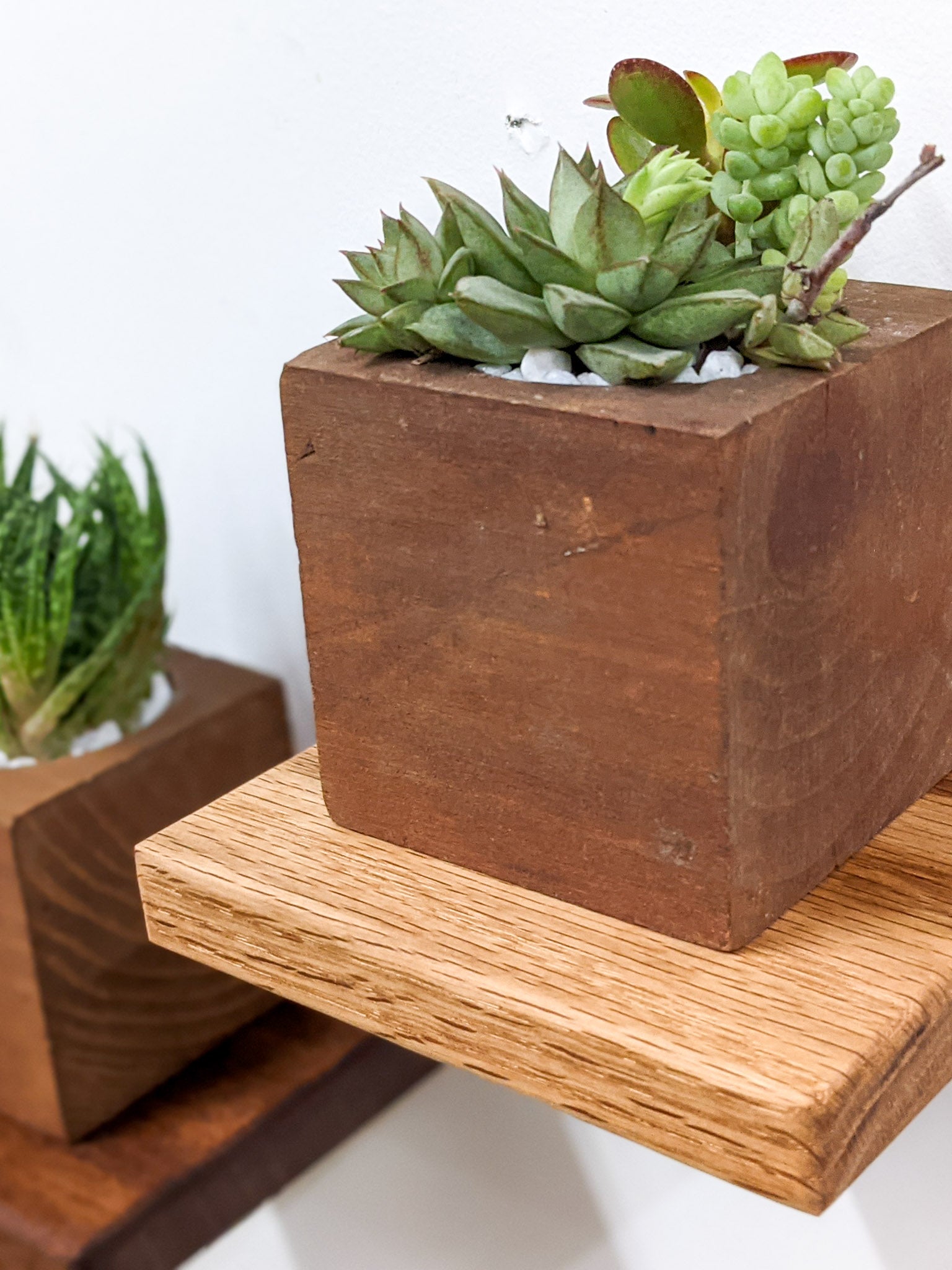 A small square floating shelf in oak wood with indoor plant on top.