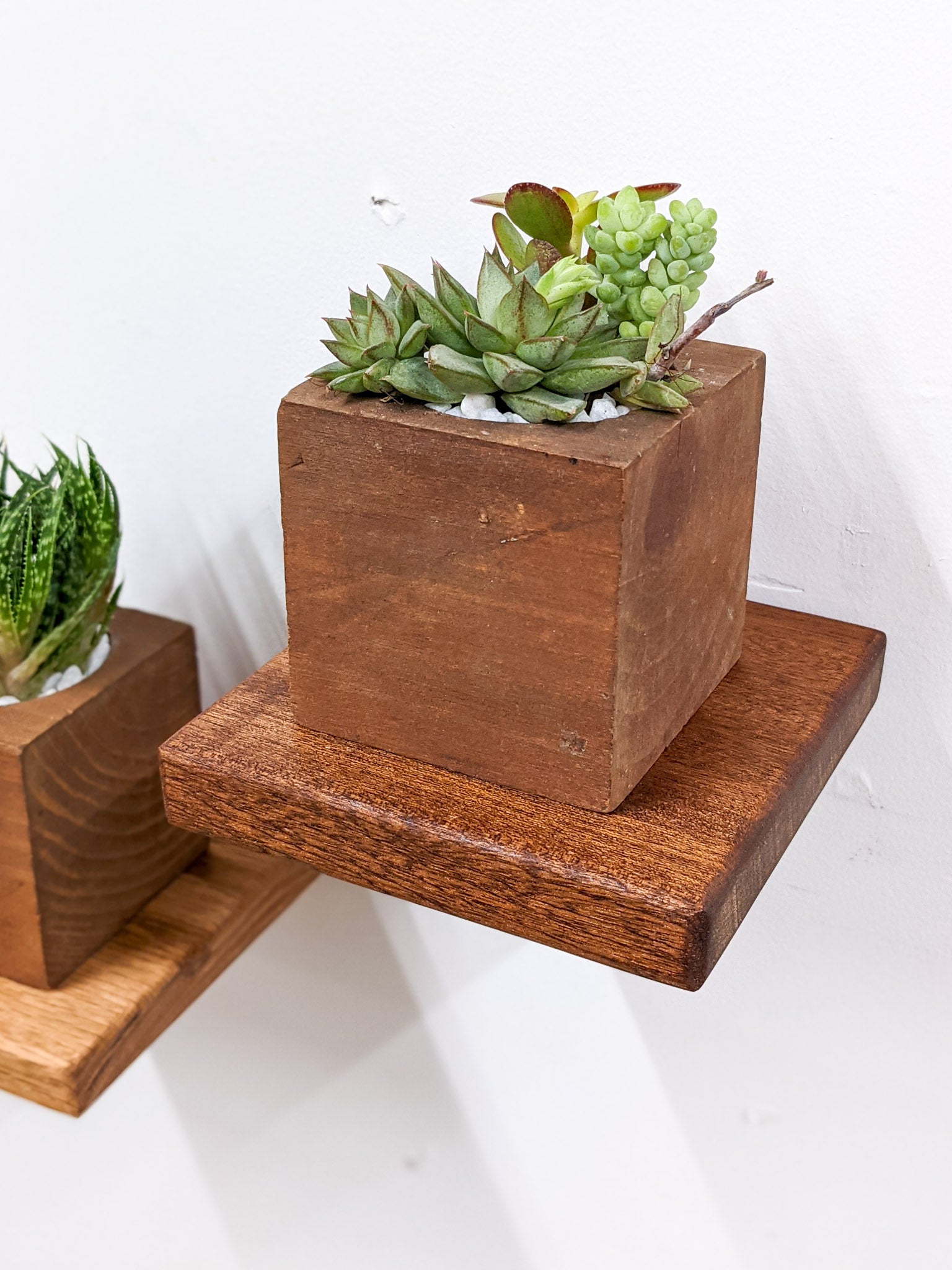 A small square floating shelf in mahogany sits flush against the wall and holds a square mahogany planter of succulents.