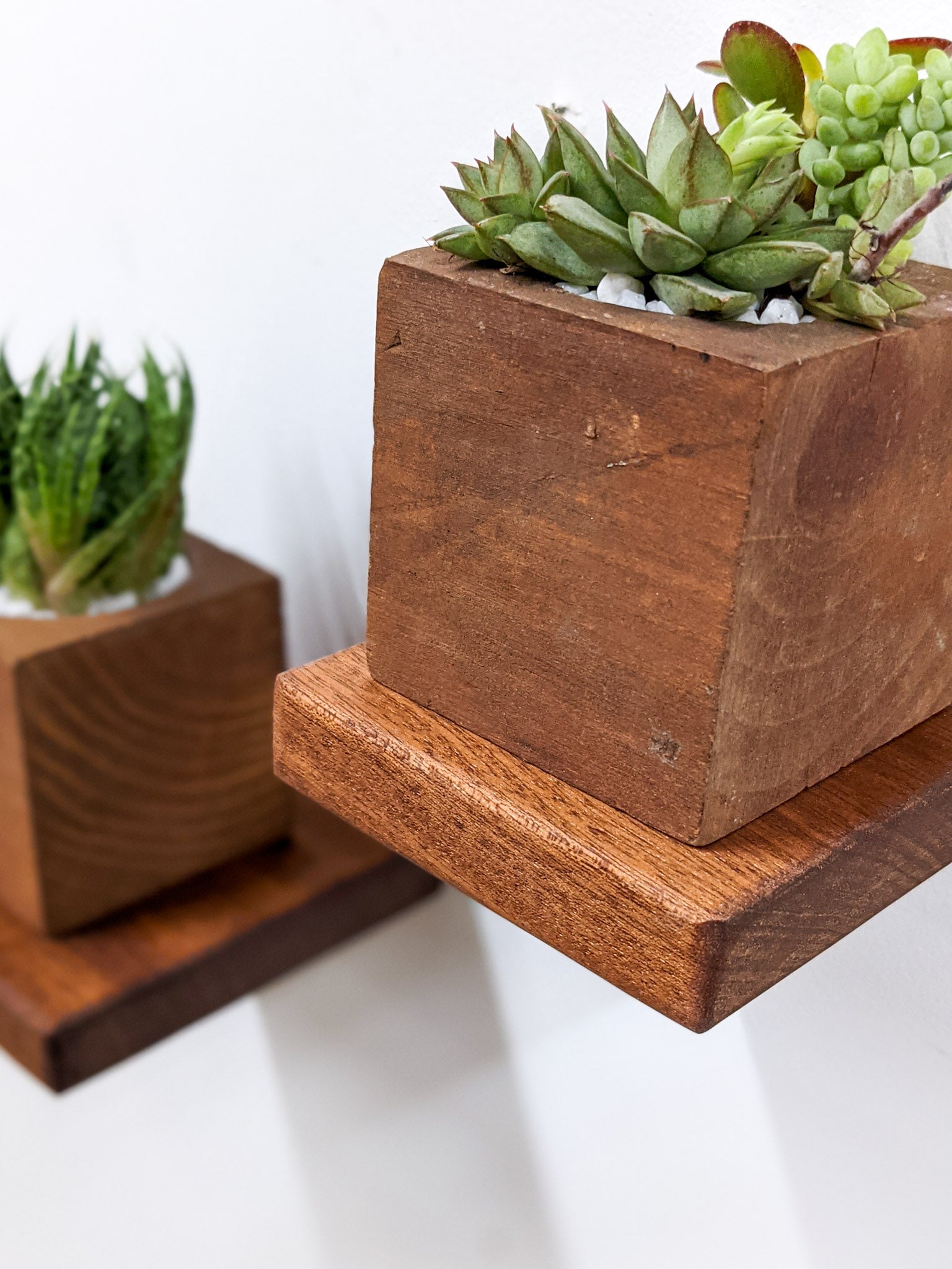 A small floating shelf that is square and mahogany holds a square mahogany planter filled with succulents.