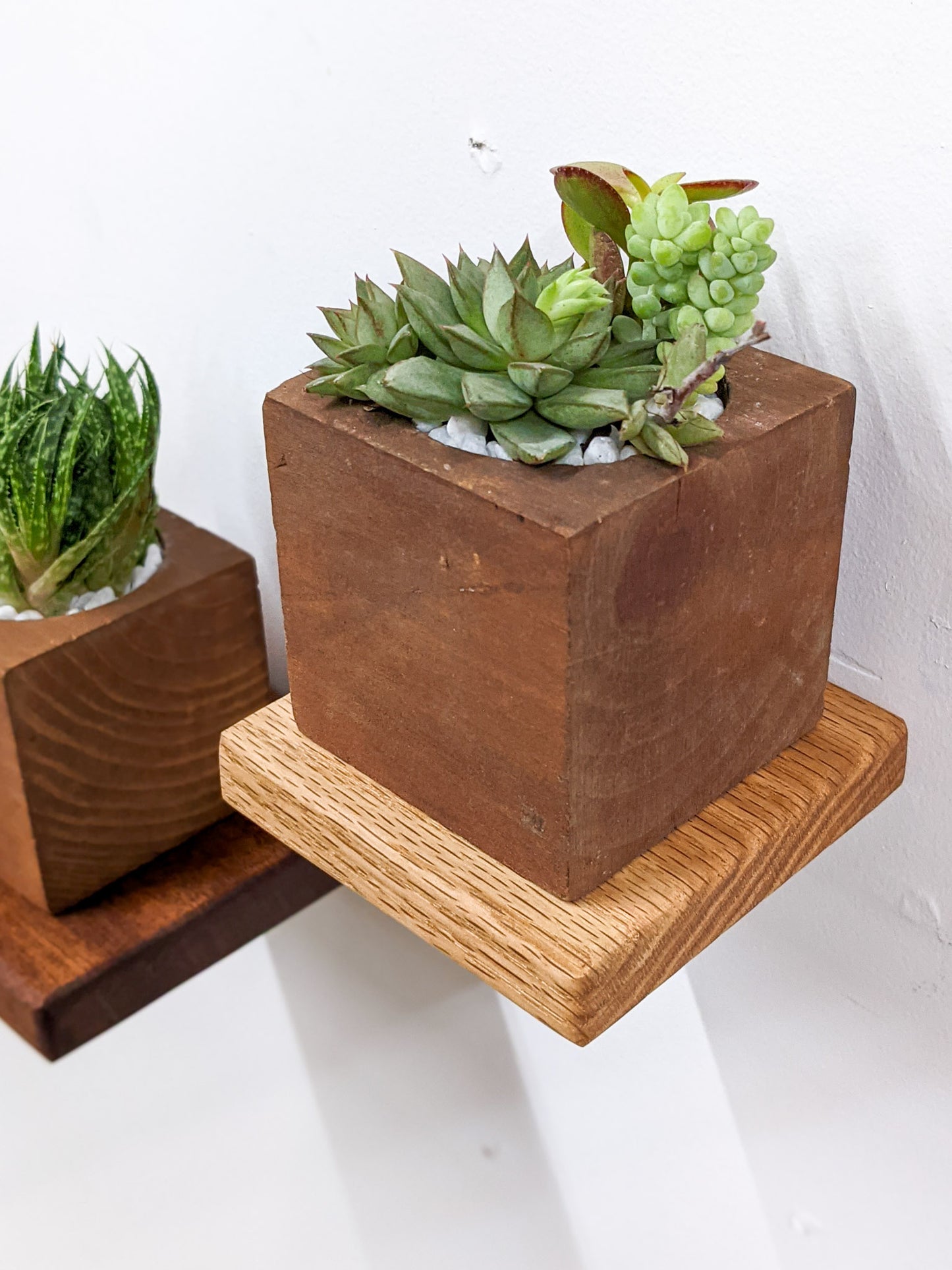 A small floating shelf that is square and oak holds a square mahogany planter filled with succulents.