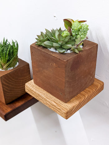Small Square Display Shelf in Mahogany