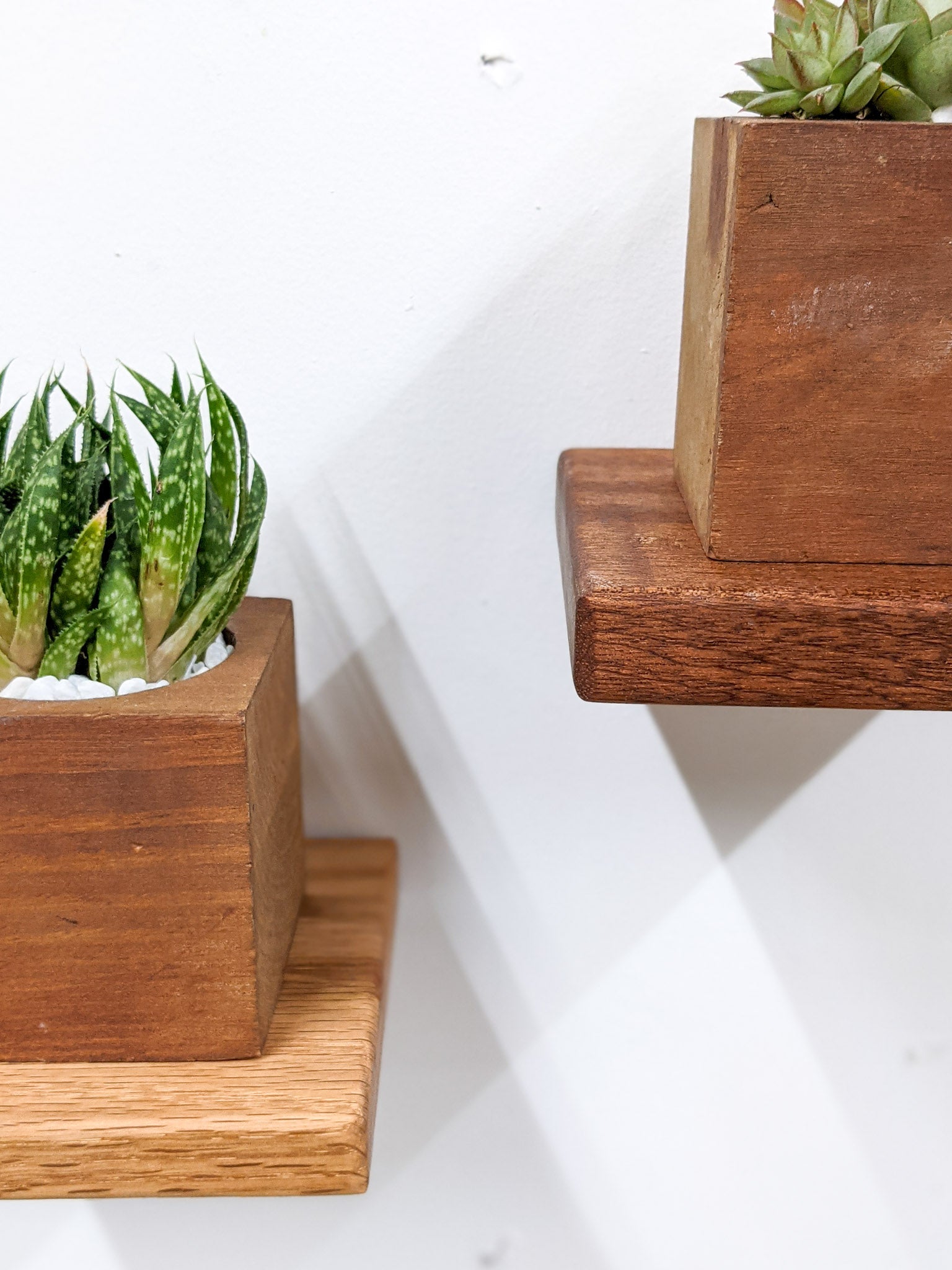 The edges of a small square floating shelf in oak and mahogany are shown.