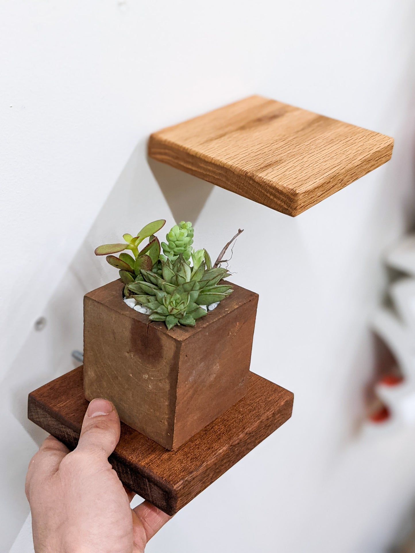 A hand installs a small wooden mahogany square shelf. In the background, a square oak floating shelf is already installed.