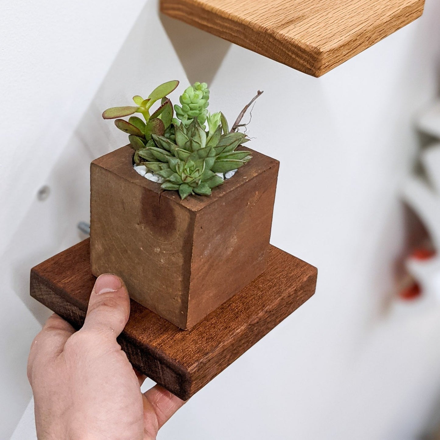 A hand installs a small wooden mahogany square shelf. In the background, a square oak floating shelf is already installed.