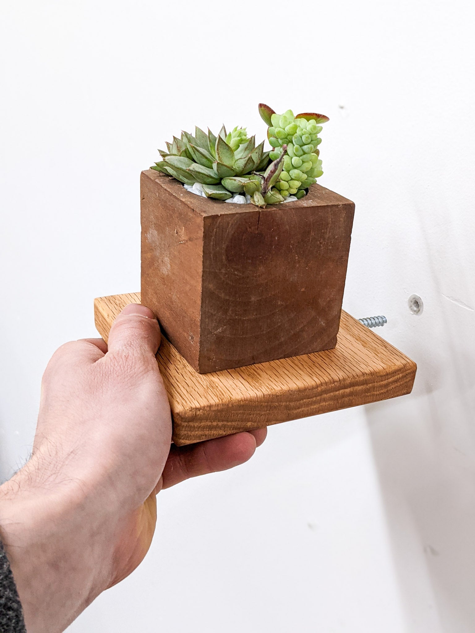 A hand installs a small square floating shelf in oak.