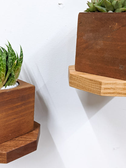 Two small octagon floating shelfs hang on a wall. One in mahogany and one in oak. They each hold a single square wooden planter that contains a succulent and white rocks.