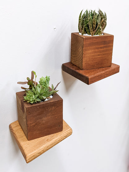 Two rhombus floating shelves, one in oak and one in mahogany are wall mounted and each hold a mahogany square planter with succulents.