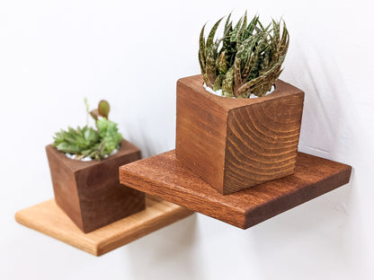 The sideview of the mahogany rhombus small floating shelf. On top sits a mahogany planter with succulents, just to the left and almost off-screen, an oak rhombus floating shelf holds a mahogany planter with succulents. 