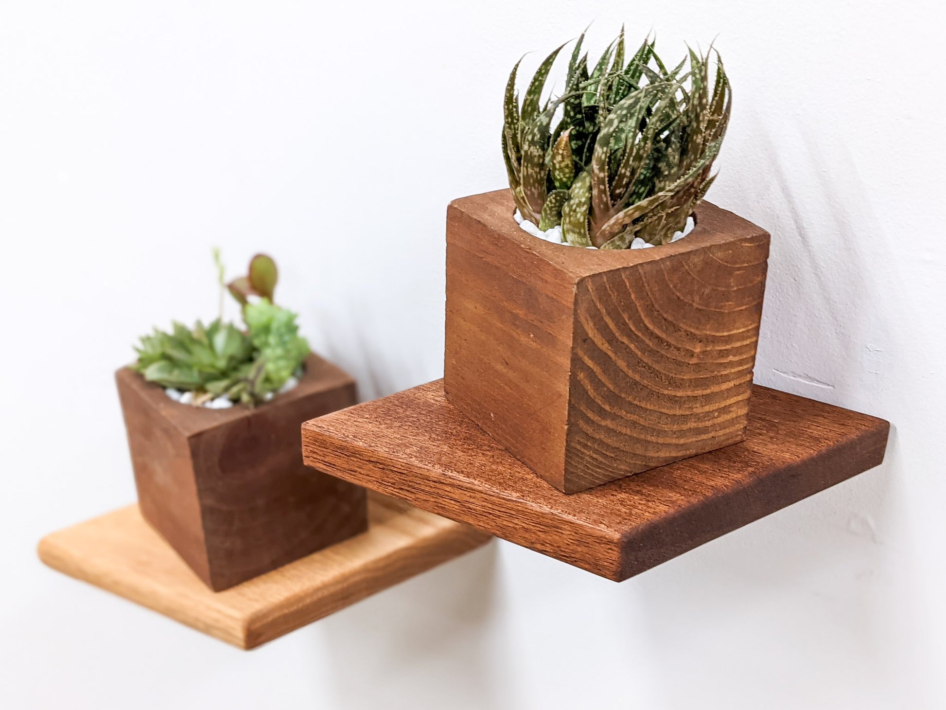 The sideview of the oak rhombus small floating shelf. On top sits a mahogany planter with succulents, just to the left and almost off-screen, a mahogany rhombus floating shelf holds a mahogany planter with succulents.