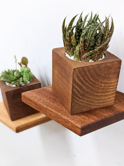 A close up of the soft beveled edges of the small oak rhombus floating shelf. A mahogany planter sits on top and holds succulents. In the upper right hand corner a mahogany rhombus floating shelf is partially in view, also holding a mahogany planter and succulents. 