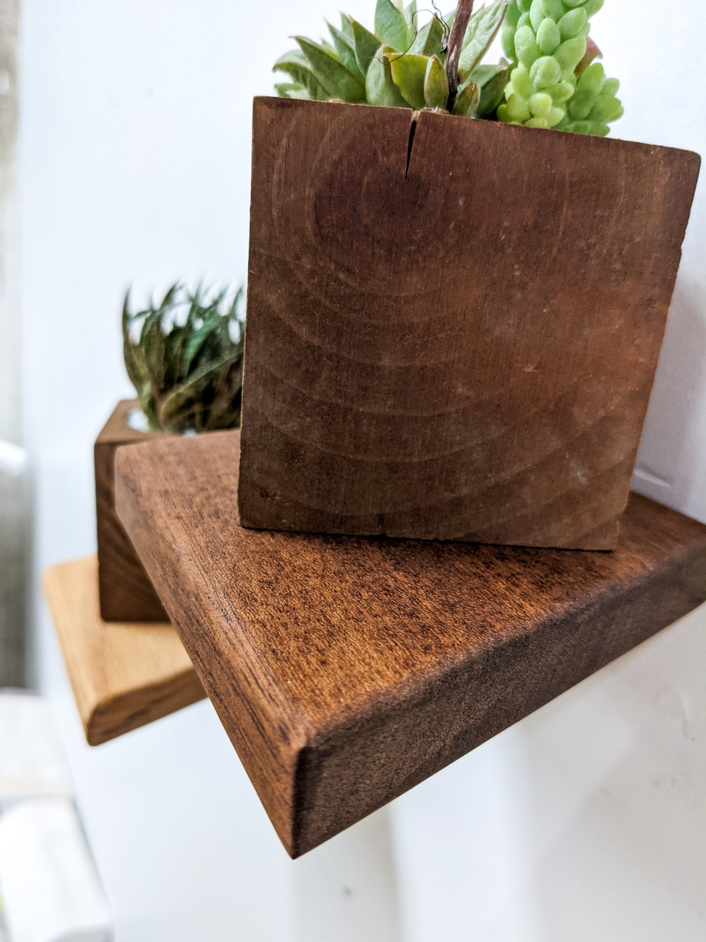 A close up side view of the small oak rhombus floating shelf. The tannish brown grain of the wood is highlighted along with the soft bevelled edges. On top a mahogany square planter sits and is filled with succulents.