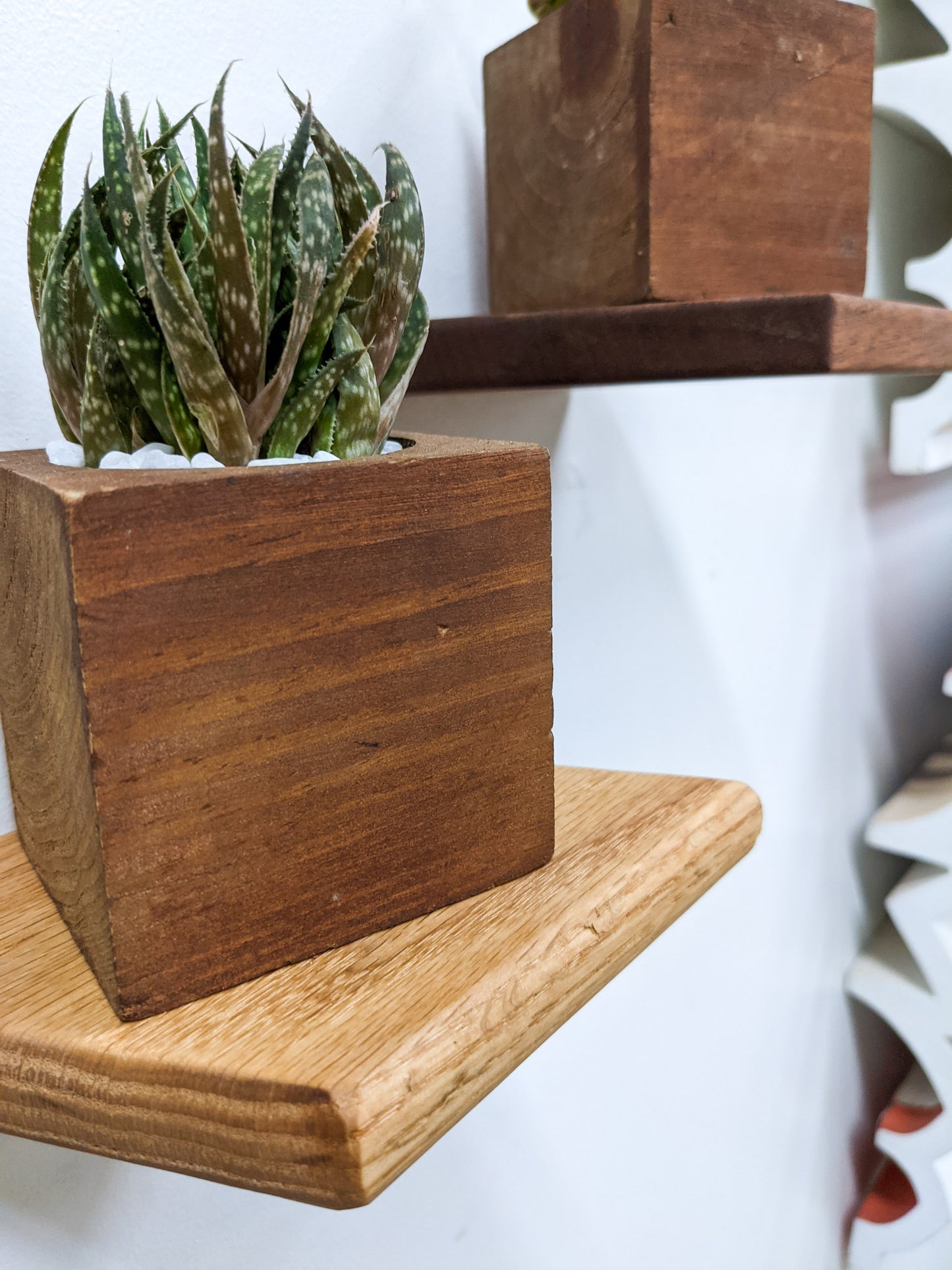 A close up of the soft beveled edges of the small oak rhombus floating shelf. A mahogany planter sits on top and holds succulents. In the upper right hand corner a mahogany rhombus floating shelf is partially in view, also holding a mahogany planter and succulents. 