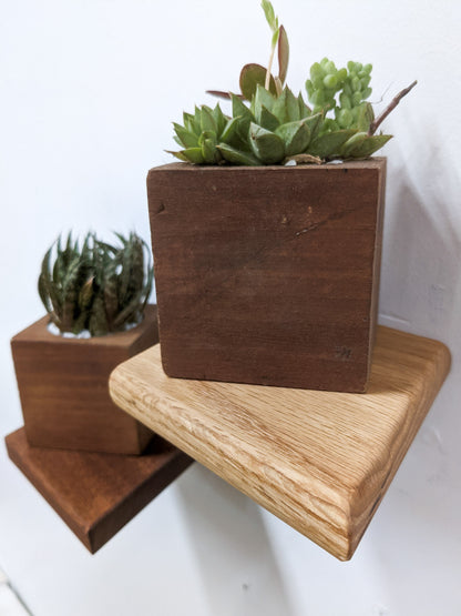 The sideview of the oak rhombus small floating shelf. On top sits a mahogany planter with succulents, just to the left and almost off-screen, a mahogany rhombus floating shelf holds a mahogany planter with succulents. 