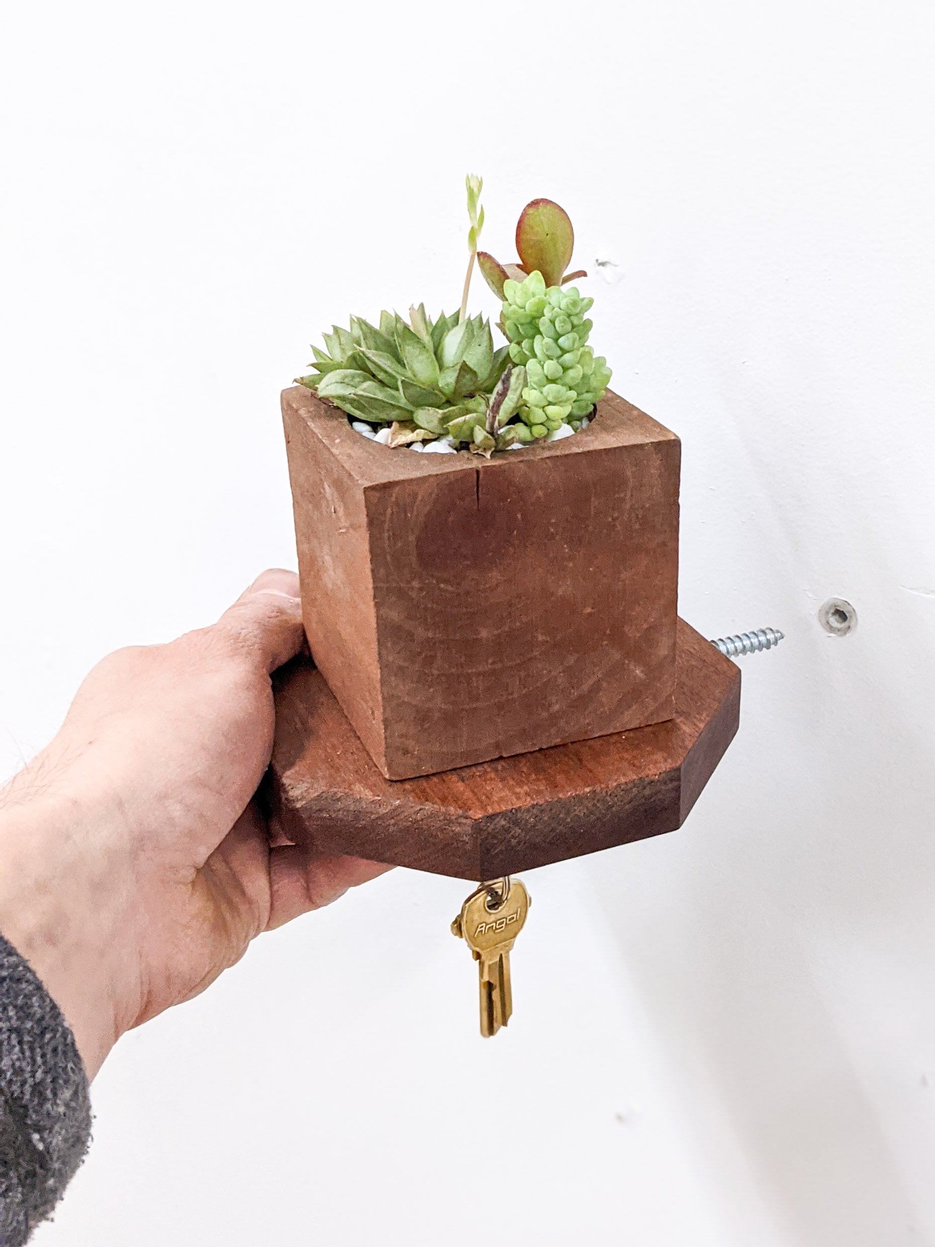 A side view of a hand holding our octagon key shelf in mahogany, extending towards the wall with the silver screw facing towards a drilled hole in the wall for installation. The sides of the octagon are straight with slightly beveled edges. On top, a square wooden planter holds three succulents. A singular bronze key dangles securely from the key hook below. 