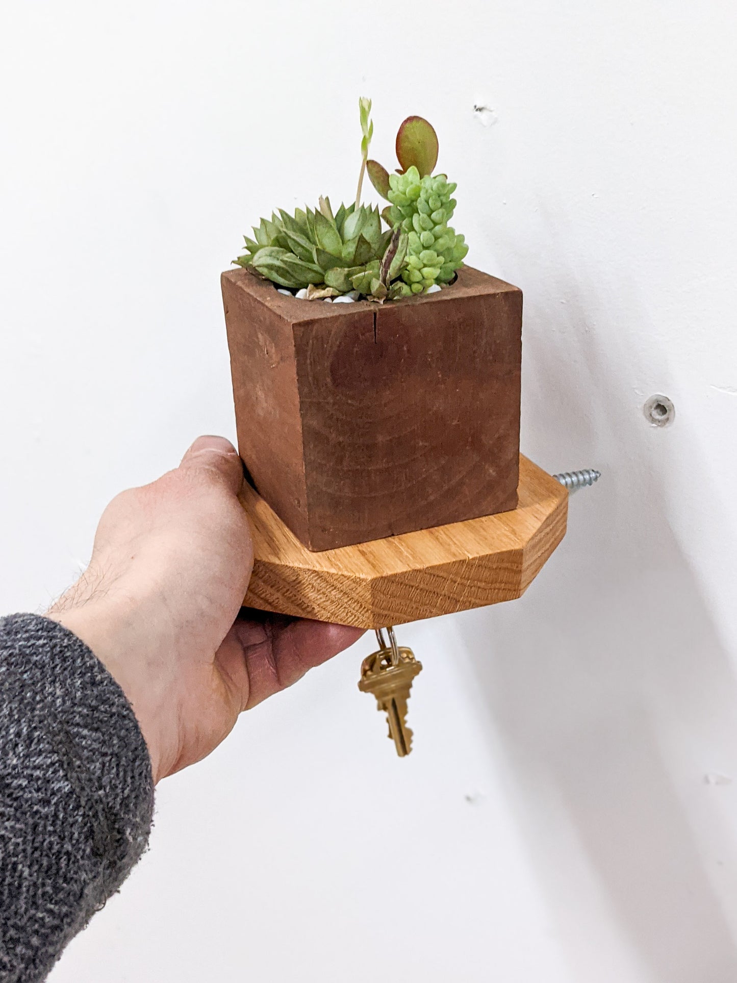 A side view of a hand holding our octagon key shelf in oak, extending towards the wall with the silver screw facing towards a drilled hole in the wall for installation. The sides of the octagon are straight with slightly beveled edges. On top, a square wooden planter holds three succulents. A singular bronze key dangles securely from the key hook below. 