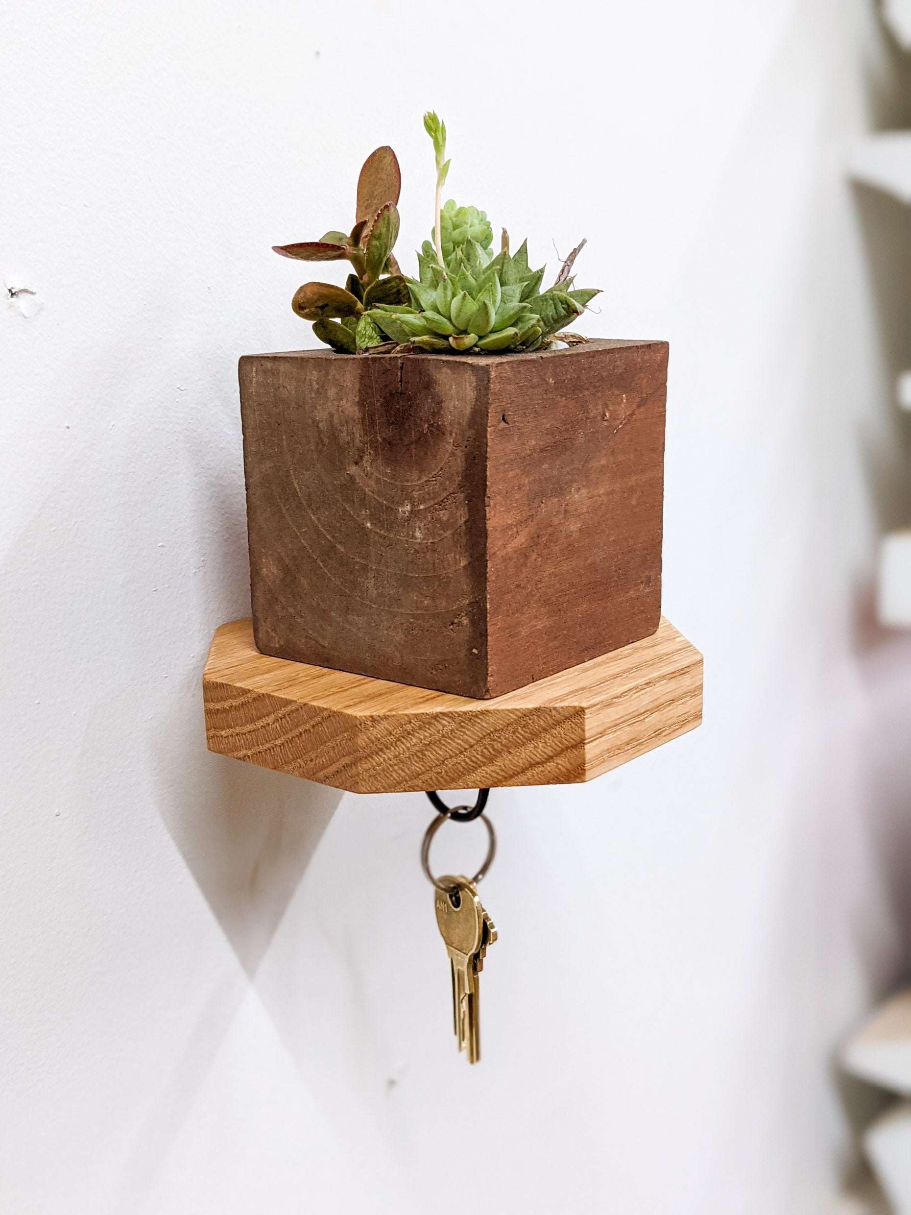 A oak octagon key hook shelf is sucessfully installed on a white wall. A black key hook holds two bronze keys while the oak base of the shelf supports a square mahogany planter that is filled with succulents. 