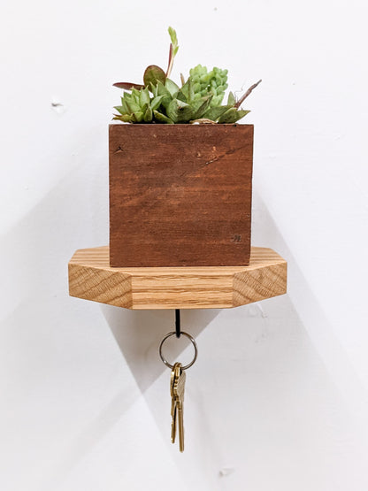 A head-on view of the oak octagon floating key shelf. On the bottom, a pair of bronze keys hang securely from a black key hook. Three sides of the octagon are visible and their edges are smooth and bevelled. On top of the shelf sits a square mahogany wood planter that is filled with succulents. 