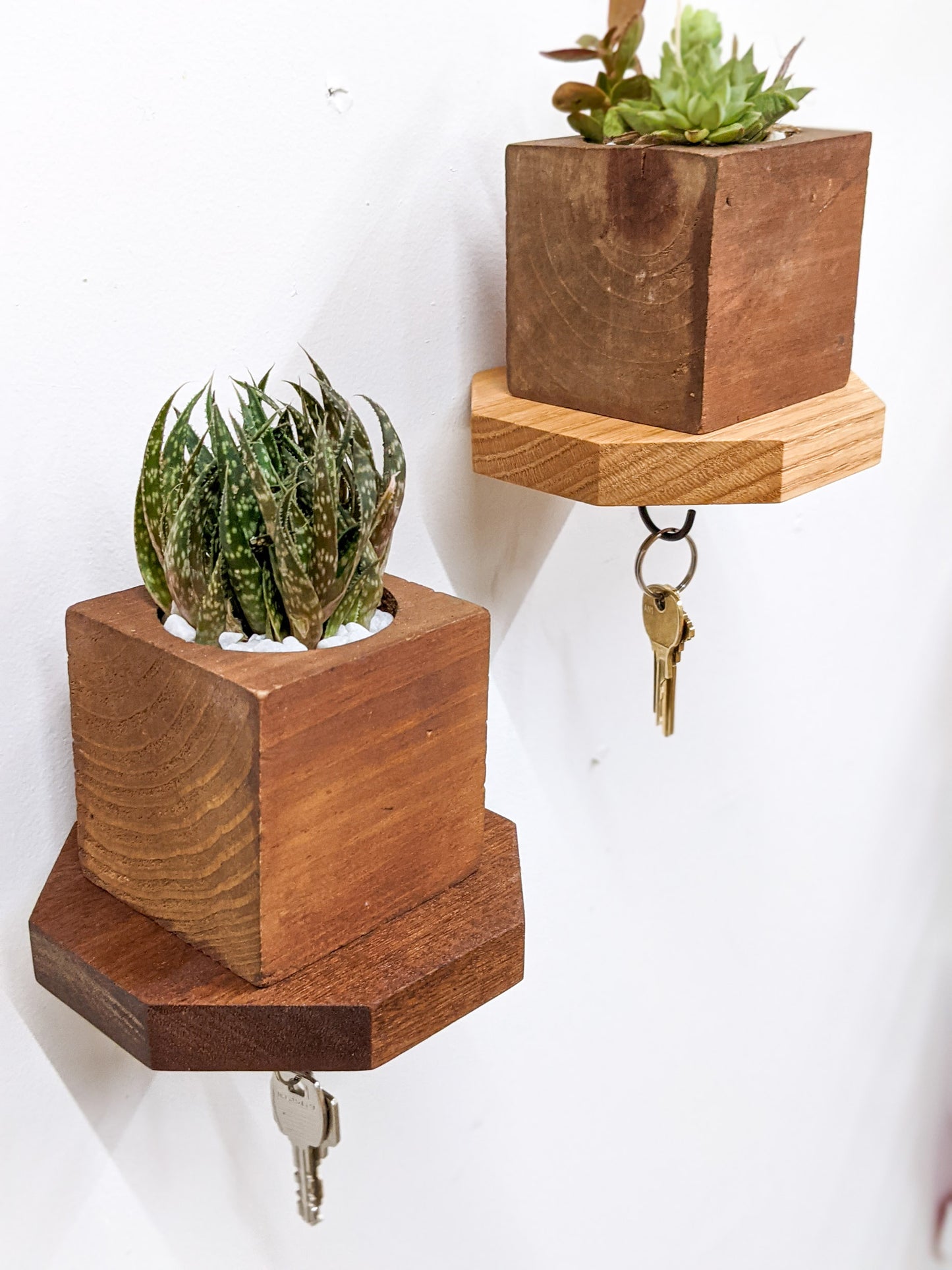 A set of oak and mahogany octagon key shelves are securely installed on a white wall. To the left, a mahogany octagon key shelf holds a square mahogany planter filled with succulents. A set of bronze keys dangle from a black key hook at the bottom. Above and to the right of it, a wall mounted oak octagon key shelf holds a mahogany square planter with succulents and a pair of keys. 