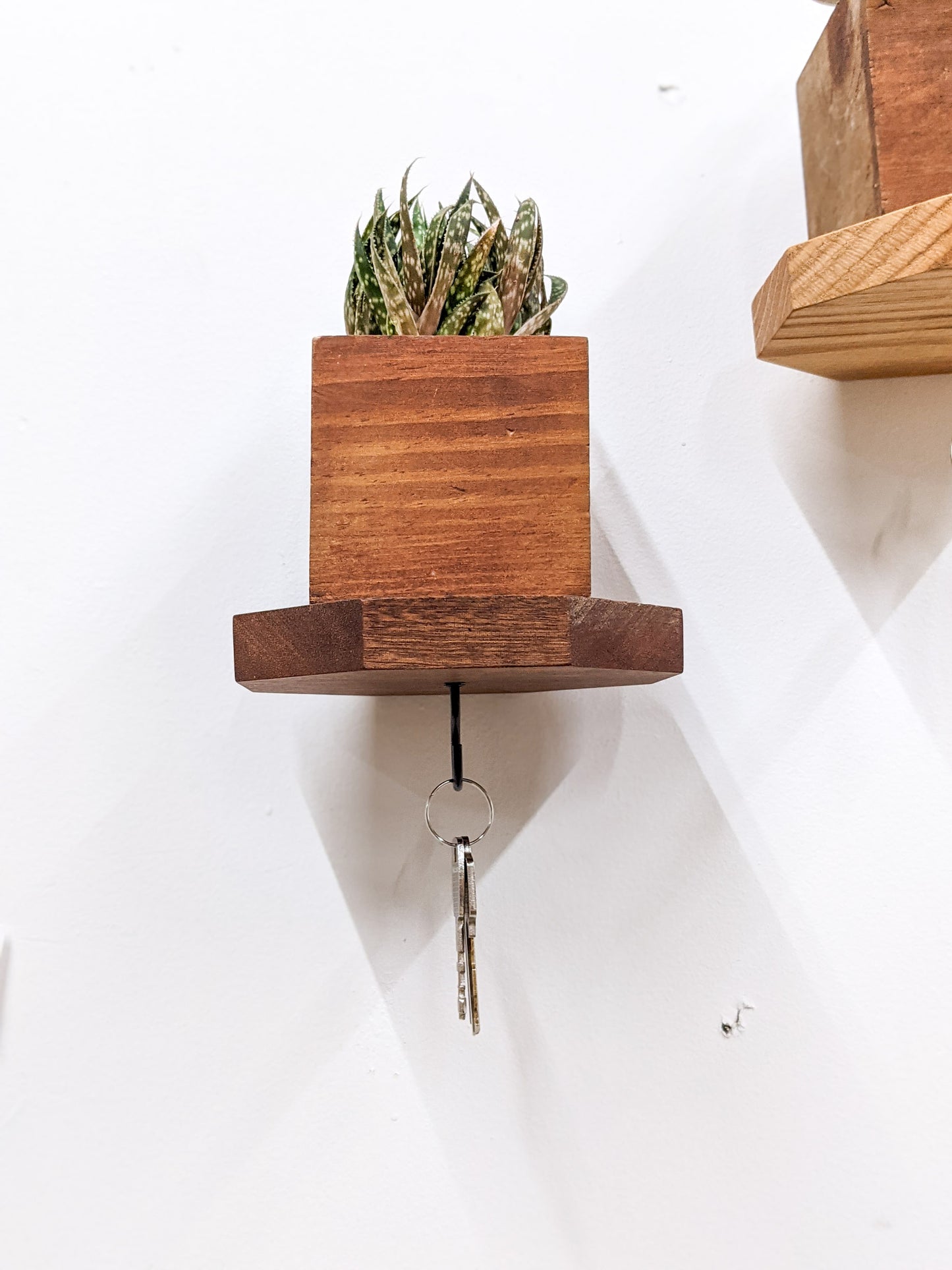 A head-on view of the mahogany octagon floating key shelf. On the bottom, a pair of bronze keys hang securely from a black key hook. Three sides of the octagon are visible and their edges are smooth and bevelled. On top of the shelf sits a square mahogany wood planter that is filled with succulents.