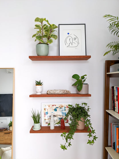 Three medium sized mahogany floating shelves are stacked on top of the other. The highest shelf holds a rubber plant in a blue planter and impressionist painting, the middle shelf holds a succulent in a novelty face planter, a white sage stick, and a small ficus in a gray pot, and the lowest shelf holds a fern and pickle plant and two crystal stalagmites.